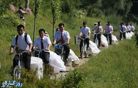 قطاری از عروس و داماد , اخبار گوناگون , مجالس عروسی