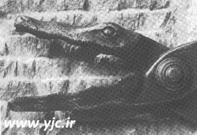 دهان تمساح,وسایل شکنجه قرون وسطی