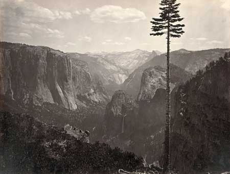 عظمت تصویری پارک یوسیمیتی