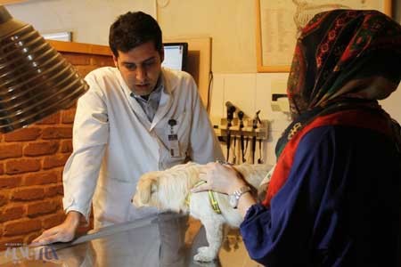 بیمارستان حیوانات, روز دامپزشکی