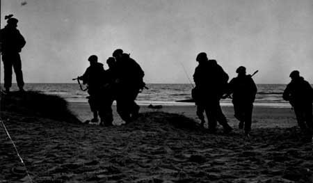 نه هزارجسد شنی در ساحل نرماندی,قربانیان جنگ جهانی در ساحل نرماندی 