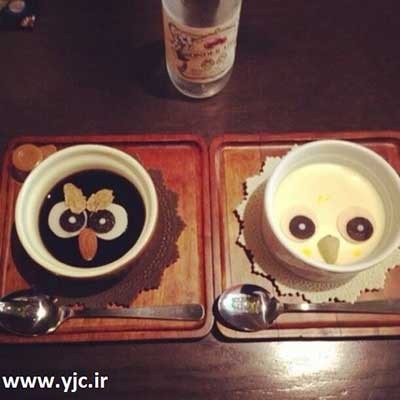 کافه جغد ها,عکس کافه ای که جغد ها صاحب آن هستند کافه جغد ها,عکس کافه ای که جغد ها صاحب آن هستند
