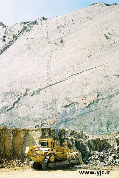 دایناسور,تصاویررد پای 5000 دایناسور روی دیوار دایناسور,تصاویررد پای 5000 دایناسور روی دیوار