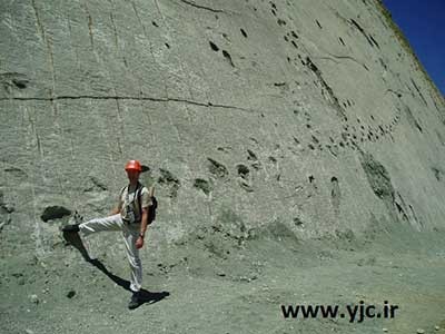 دایناسور,تصاویررد پای 5000 دایناسور روی دیوار دایناسور,تصاویررد پای 5000 دایناسور روی دیوار