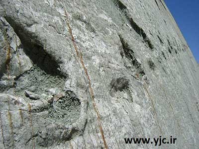 دایناسور,تصاویررد پای 5000 دایناسور روی دیوار دایناسور,تصاویررد پای 5000 دایناسور روی دیوار