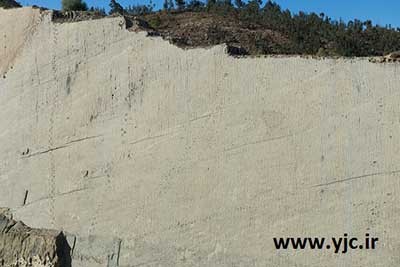 دایناسور,تصاویررد پای 5000 دایناسور روی دیوار دایناسور,تصاویررد پای 5000 دایناسور روی دیوار