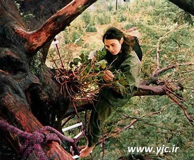 عکس دوسال زندگی دختری روی درخت,محیط زیست