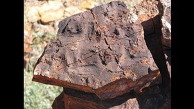 قدیمی‌ترین فسیل جهان