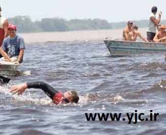 شنا,شنا گر,ورزش شنا,آموزش شنا, شنا,شنا گر,ورزش شنا,آموزش شنا,