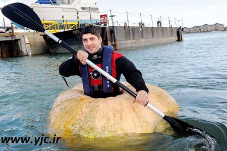 قایقی با کدو حلوایی,تصاویر بزرگترین و سنگین ترین کدوحلوایی