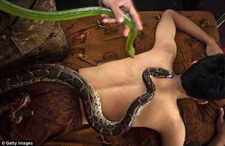 تصاویری از ماساژ با مار