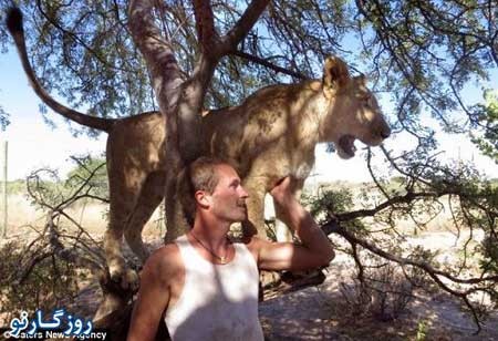 شیری که فقط دو نفر را بغل می کند