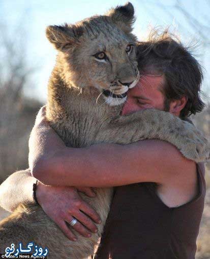 شیری که فقط دو نفر را بغل می کند