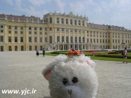 موسسه توریستی , اسباب بازی , تورهای گردشگری موسسه توریستی , اسباب بازی , تورهای گردشگری