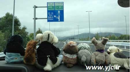 موسسه توریستی , اسباب بازی , تورهای گردشگری موسسه توریستی , اسباب بازی , تورهای گردشگری