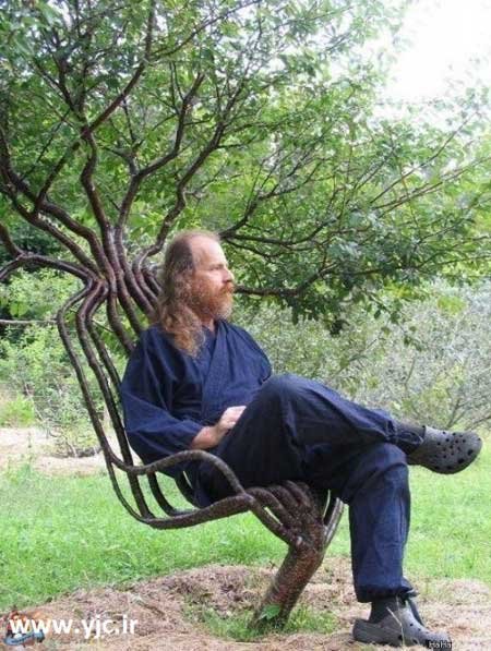 درختان جوان , باغبانی , هنرنمایی با درختان جوان درختان جوان , باغبانی , هنرنمایی با درختان جوان