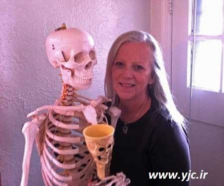 همسفرخوب , اخبار گوناگون ,  گردش دور دنیا