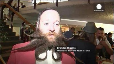 مسابقات جهانی زیباترین ریش و سبیل,انواع ریش و سبیل