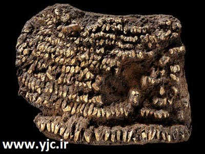 قدیمیترین آثار کشف شده روی زمین
