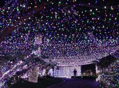 اخبار , اخبار گوناگون,رکورد بزرگترین چراغانی