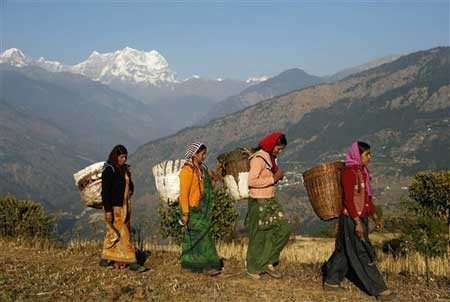اخبار,اخبار گوناگون,زنان بیوه اخبار,اخبار گوناگون,زنان بیوه