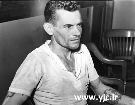 اخبار, اخبار گوناگون,عجیب ترین آزمایشات, آزمایش های عجیب