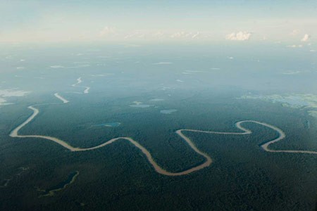 شکار آراپایما,تصاویر ماهی آراپایما شکار آراپایما,تصاویر ماهی آراپایما