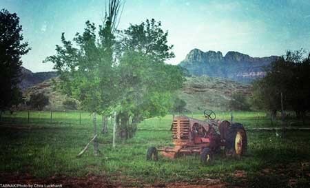 اخبار ,اخبار گوناگون ,بناهای متروکه