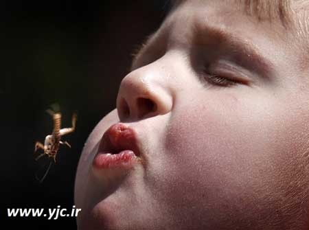 اخبار ,اخبار گوناگون ,عجیب‌ترین ورزش‌ها