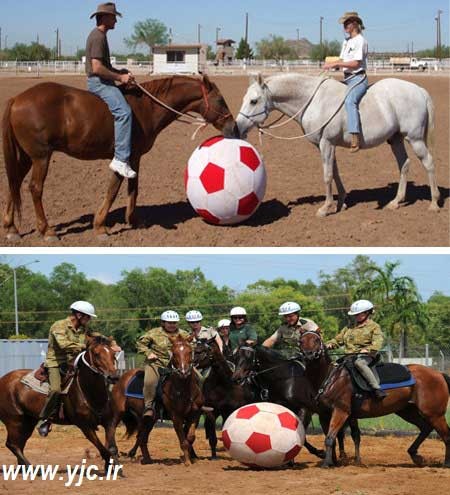 اخبار ,اخبار گوناگون ,عجیب‌ترین ورزش‌ها
