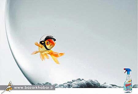 اخبار ,اخبار گوناگون ,تبلیغات خلاقانه