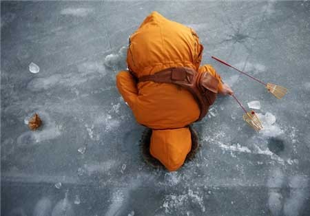 اخبار ,اخبار گوناگون ,صید ماهی