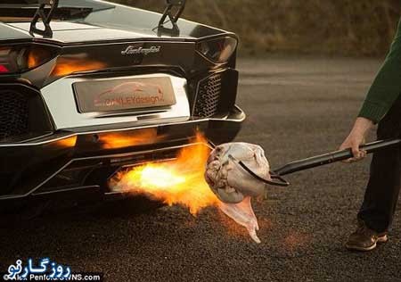 اخبار,اخبار گوناگون,کباب بوقلمون با لامبورگینی