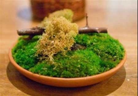 اخبار,اخبار گوناگون,رستوران‌های منتخب 2013 