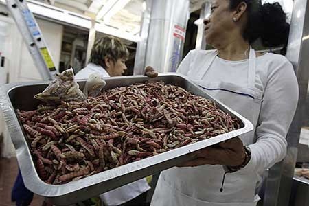 اخبار,اخبار گوناگون,چندش آورترین غذاها,بدترین غذاها