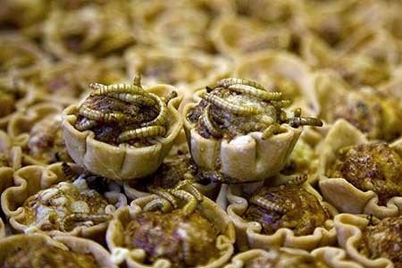 اخبار,اخبار گوناگون,چندش آورترین غذاها,بدترین غذاها