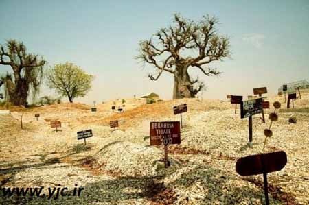 اخبار,اخبار گوناگون,محل گردشگری