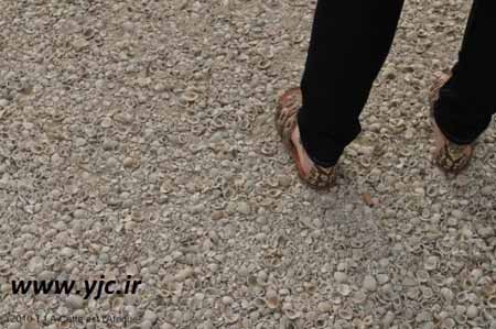 اخبار,اخبار گوناگون,محل گردشگری