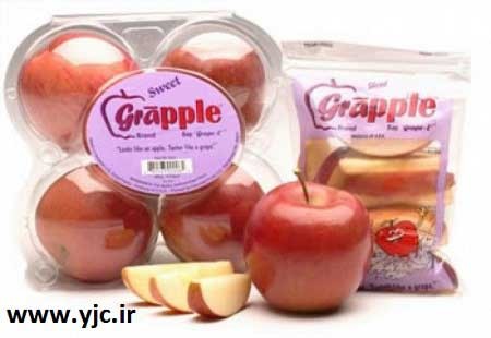 اخبار,اخبارگوناگون, میوه سیب