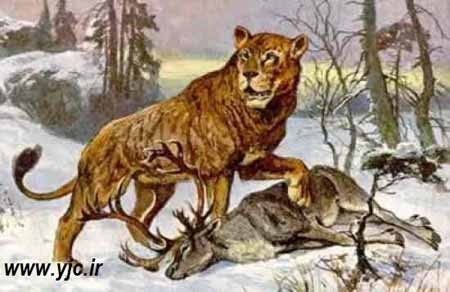 اخبار , اخبار گوناگون , رکورد جهانی پرش 