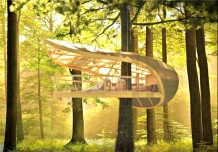 اخبار ,اخبار گوناگون ,هتل‌ 5ستاره 