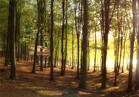 اخبار ,اخبار گوناگون ,هتل‌ 5ستاره 