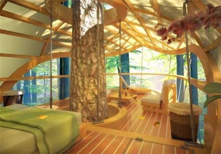 اخبار ,اخبار گوناگون ,هتل‌ 5ستاره 