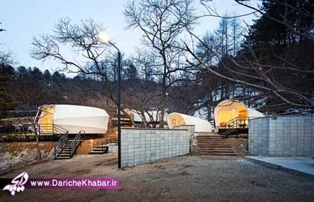 اخبار ,اخبار گوناگون ,کمپین لوکس