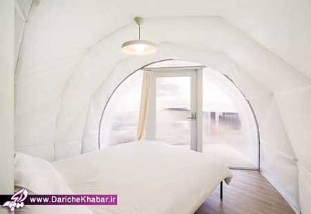 اخبار ,اخبار گوناگون ,کمپین لوکس