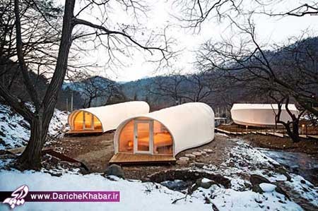 اخبار ,اخبار گوناگون ,کمپین لوکس