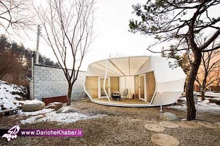 اخبار ,اخبار گوناگون ,کمپین لوکس