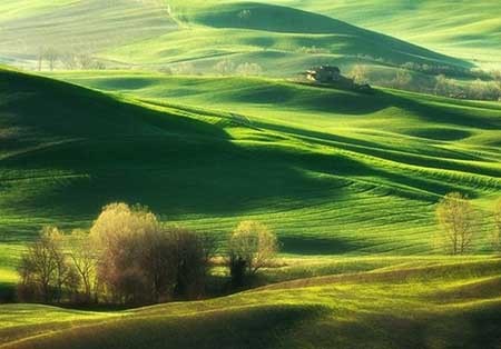 اخبار ,اخبار گوناگون ,دشتهای توسکانا اخبار ,اخبار گوناگون ,دشتهای توسکانا