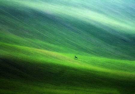 اخبار ,اخبار گوناگون ,دشتهای توسکانا اخبار ,اخبار گوناگون ,دشتهای توسکانا