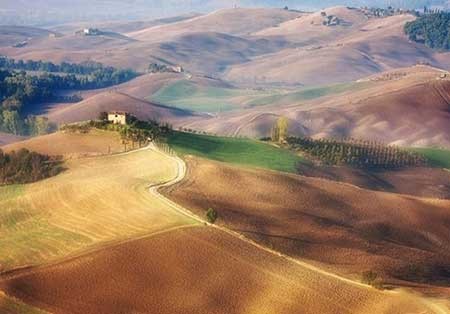 اخبار ,اخبار گوناگون ,دشتهای توسکانا اخبار ,اخبار گوناگون ,دشتهای توسکانا